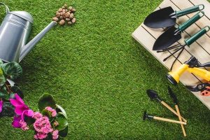 Unleashing Creativity in the Garden: Stepping Stones and Tower Gardens